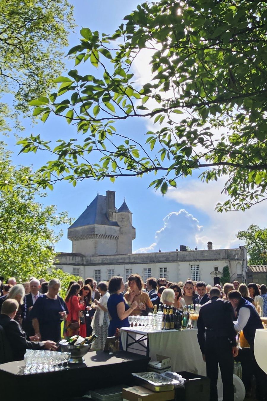 Château de Mornay, photo 3