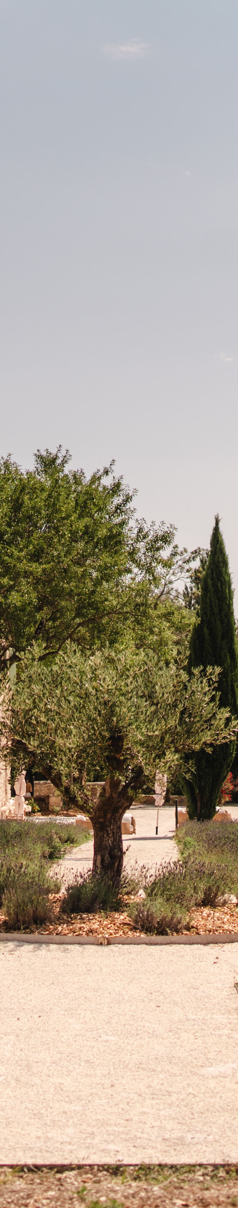 Domaine de la Vivande, photo 2