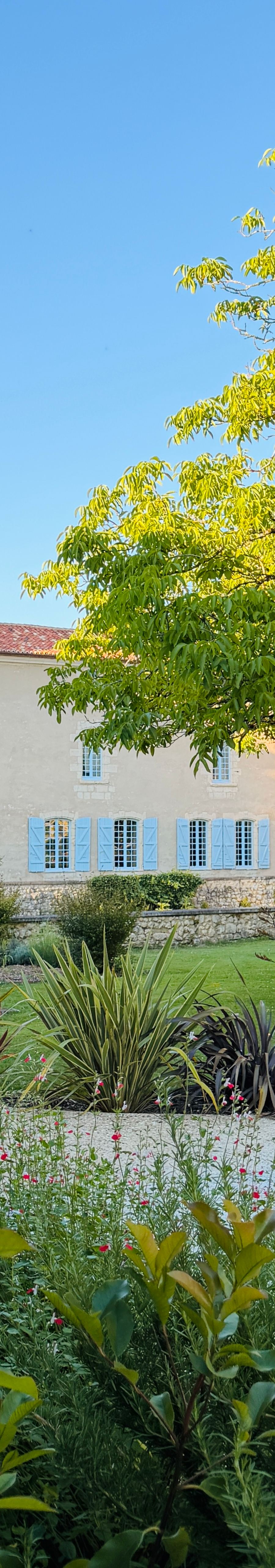 Chateau de la Mothe, photo 5